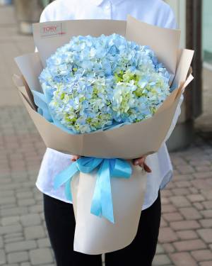 Букет 7 блакитних гортензій - заказ и доставка цветов Киев