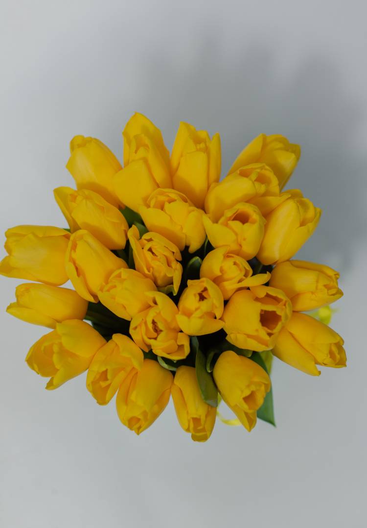 25 жовтих тюльпанів у коробці