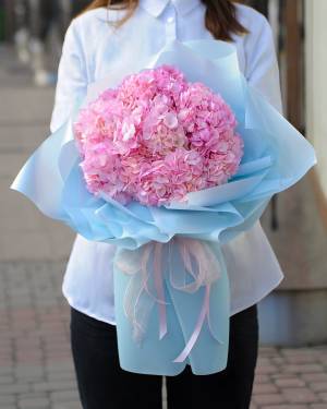 Букет 7 рожевих гортензій - заказ и доставка цветов Киев