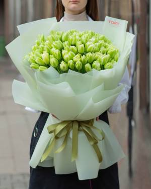 Букет 51 бело-зеленый тюльпан - заказ и доставка цветов Киев