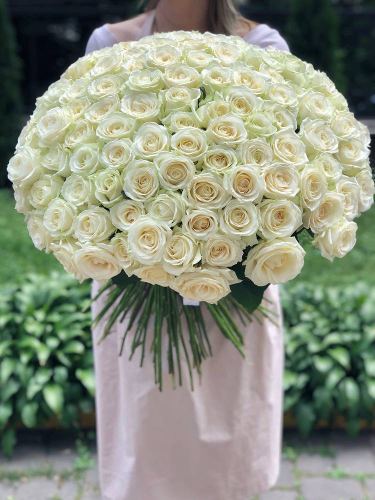 Bouquet of 201 Avalanche White Roses