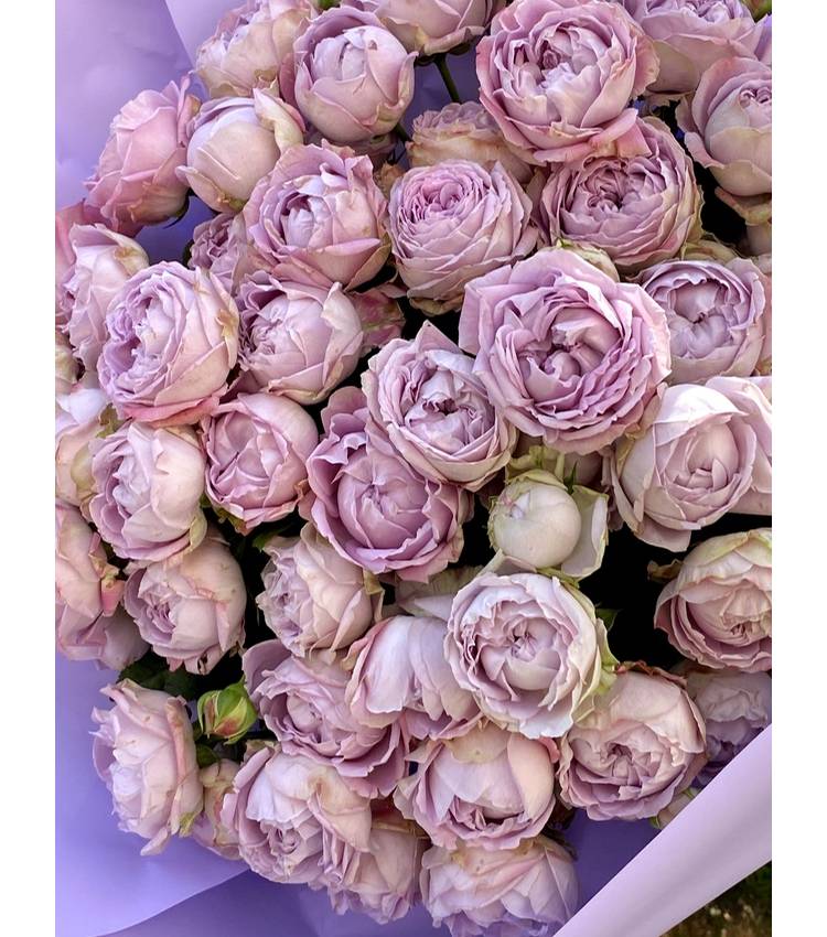 Bouquet 21 spray roses purple