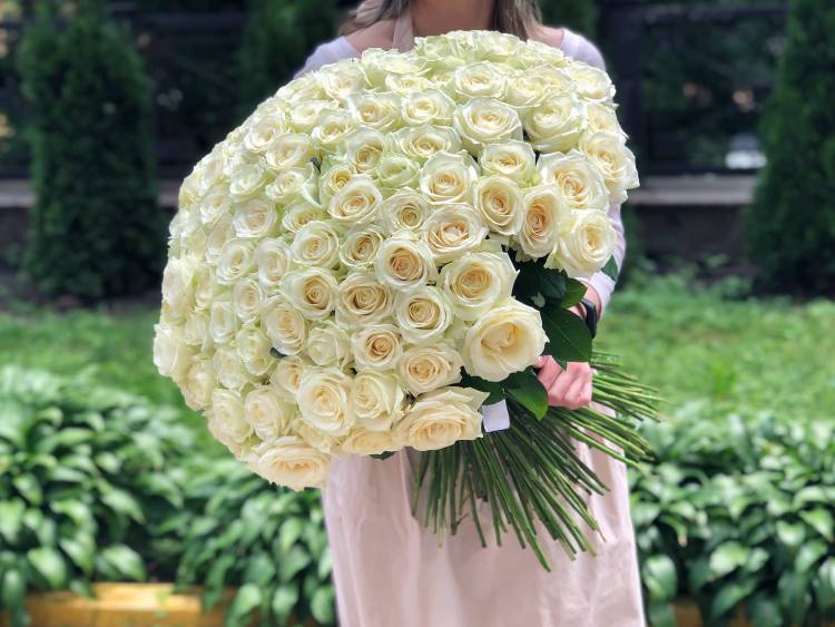 Bouquet of 201 Avalanche White Roses