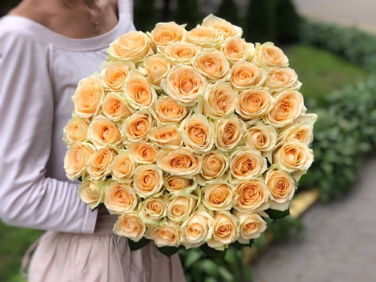 bouquet of 51 peach roses