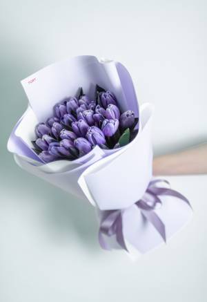 Букет 25 тюльпанів кольору Космос - заказ и доставка цветов Киев