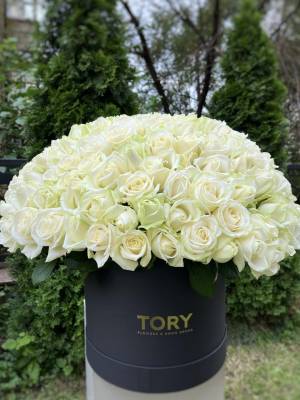 201 біла троянда в коробці - заказ и доставка цветов Киев