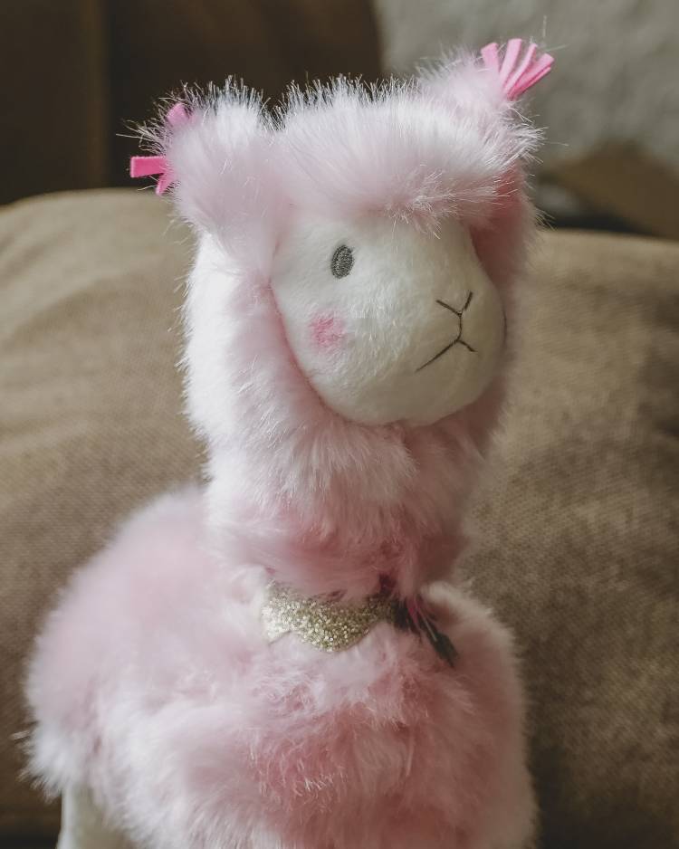 Soft Toy Pink Lama