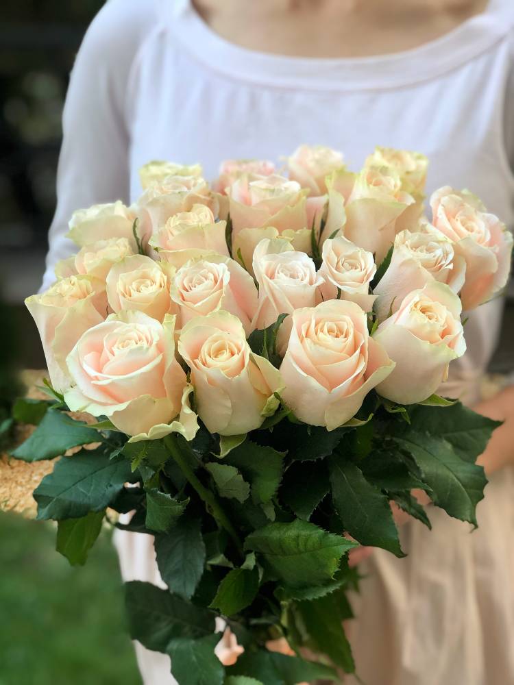 Bouquet 21 cream imported roses, 60cm