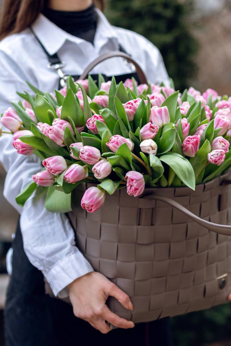 Тюльпаны в сумке 