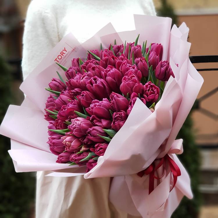 Букет 51 фіолетовий піоновидний тюльпан
