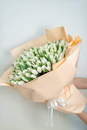 Букет 201 білий тюльпан - заказ и доставка цветов Киев