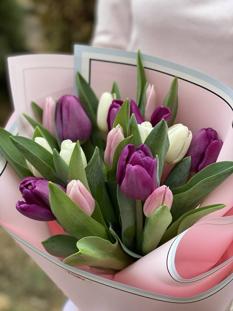 Bouquet of 15 Mixed Tulips