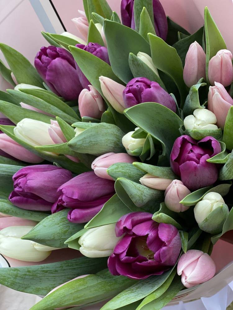 bouquet of 35 mixed tulips