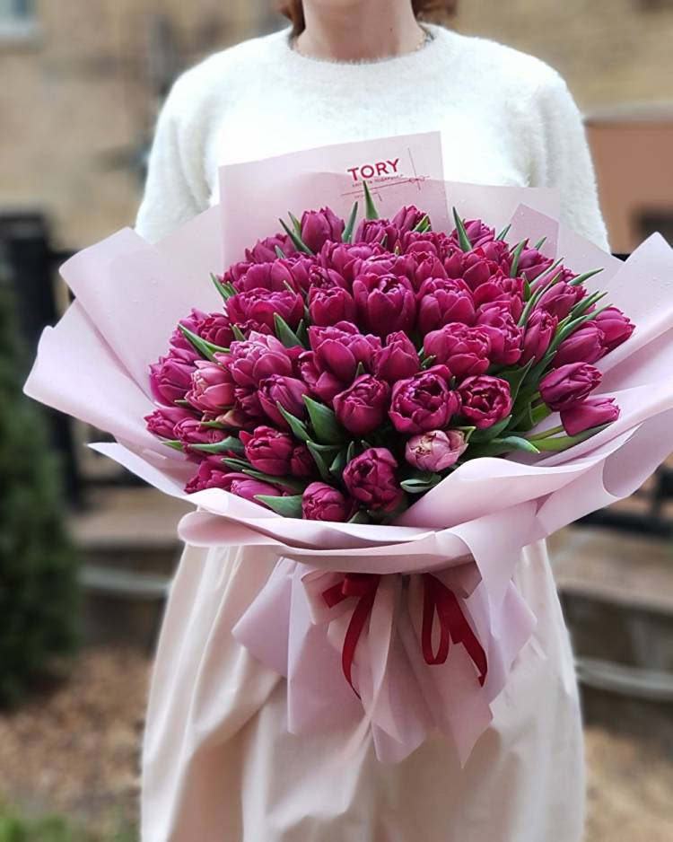 Букет 51 фиолетовый пионовидный тюльпан
