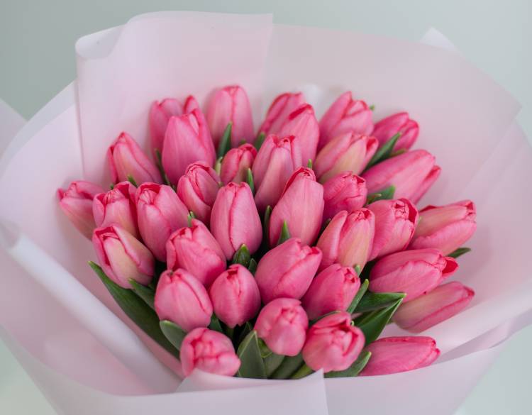 Букет 35 рожевих тюльпанів