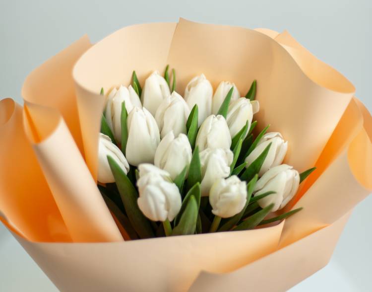 Букет 15 білих тюльпанів