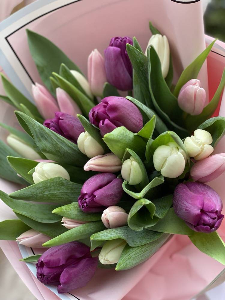 Bouquet of 25 Mixed Tulips