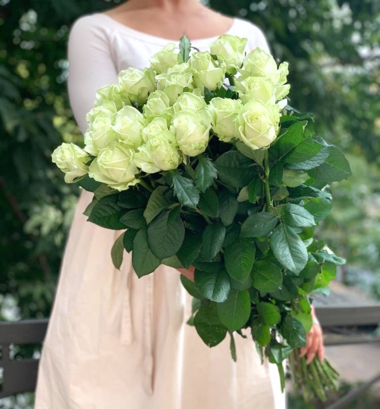 Bouquet of 21 Prenium white roses, 70 cm