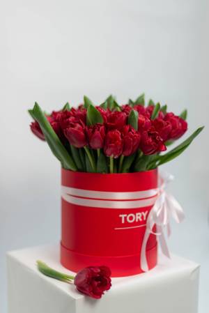 51 червоний піоновидний тюльпан в коробці - заказ и доставка цветов Киев