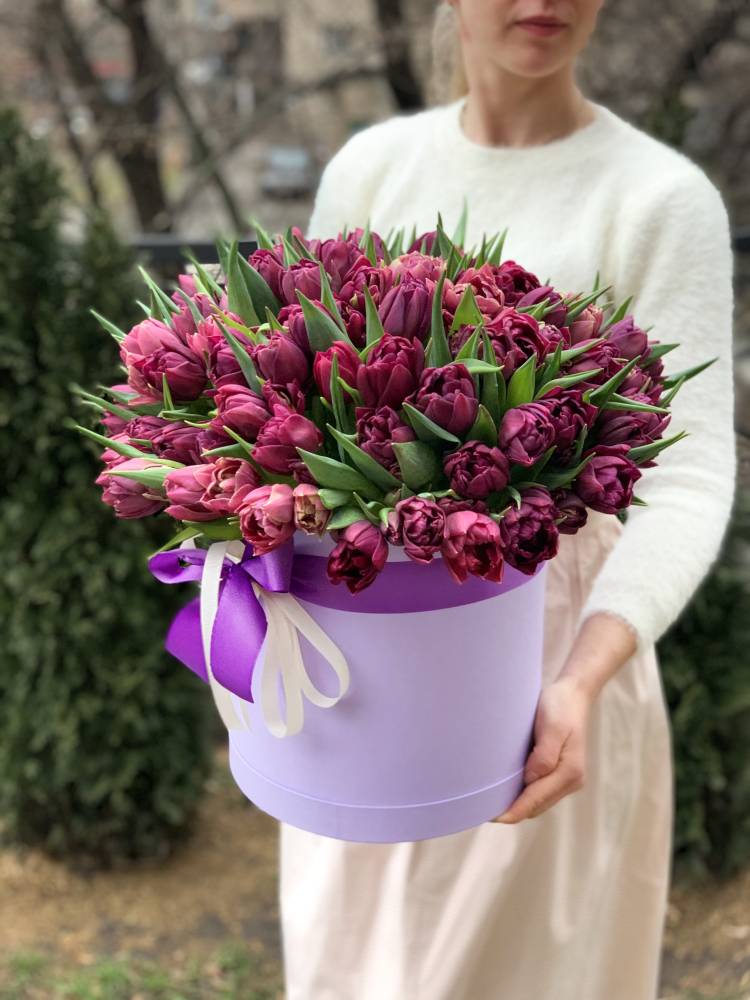 101 фіолетовий піоноподібний тюльпан у коробці