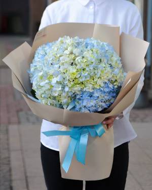 Bouquet of 5 blue hydrangeas - заказ и доставка цветов Киев