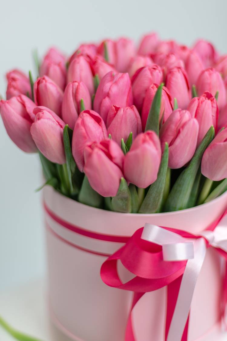 51 рожевий тюльпан у коробці