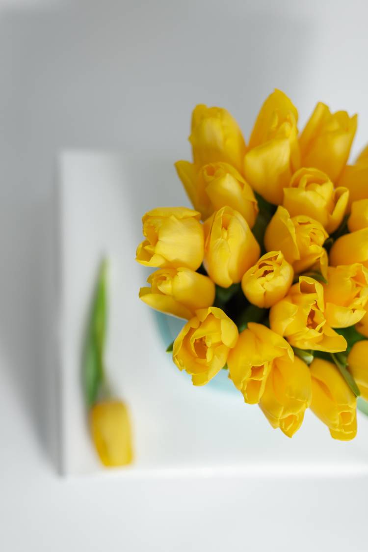 25 жовтих тюльпанів у коробці