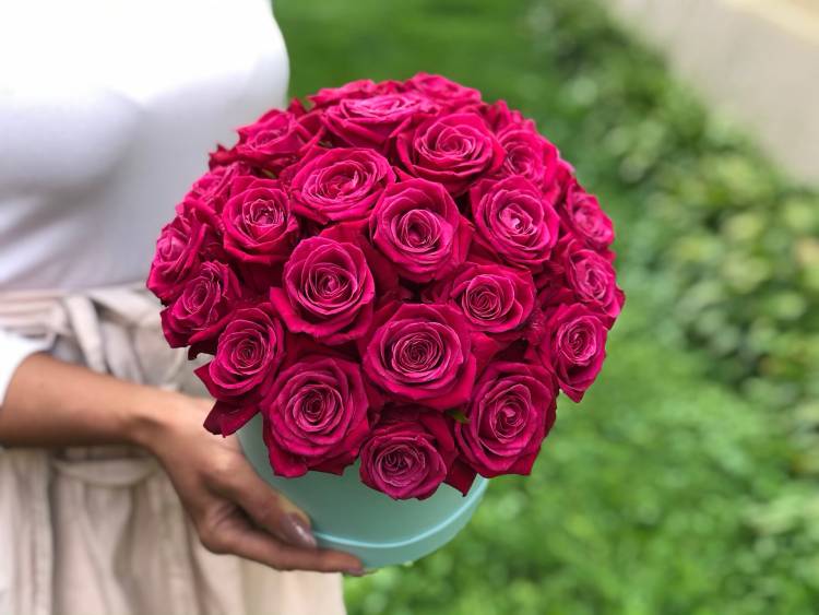 21 Raspberry Roses in a Hat Box