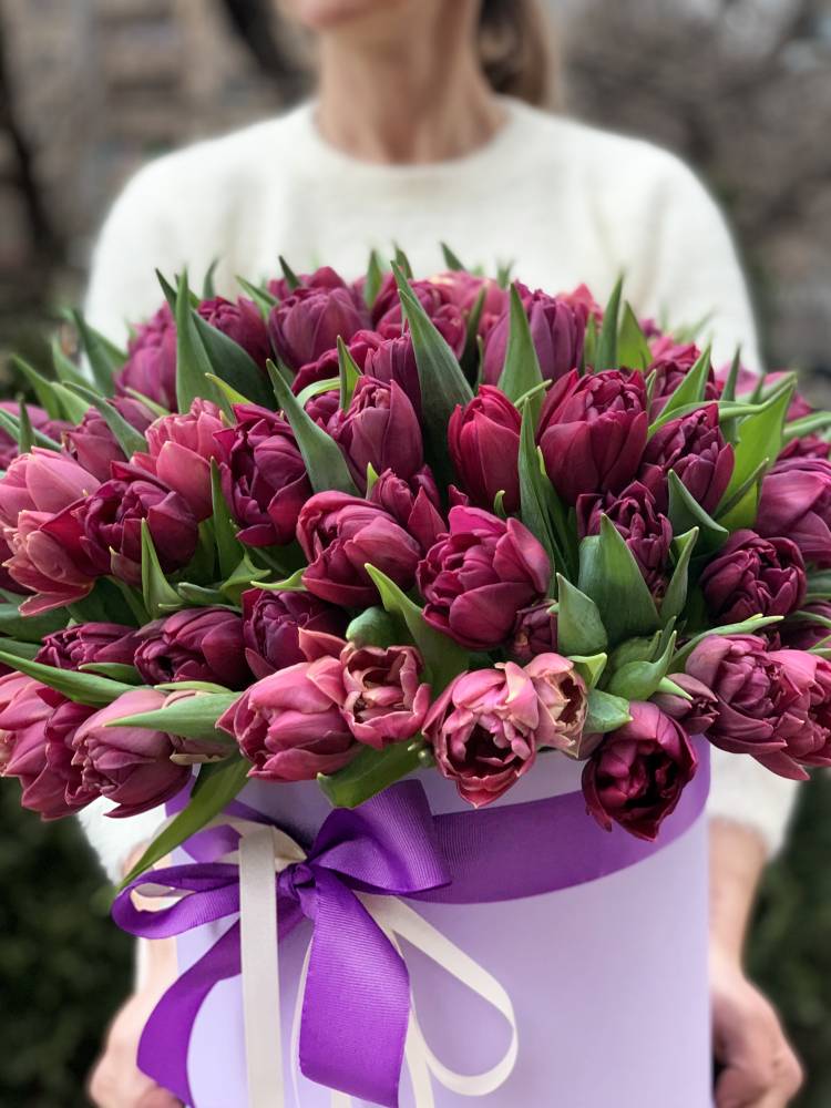 101 фіолетовий піоновидний тюльпан в коробці