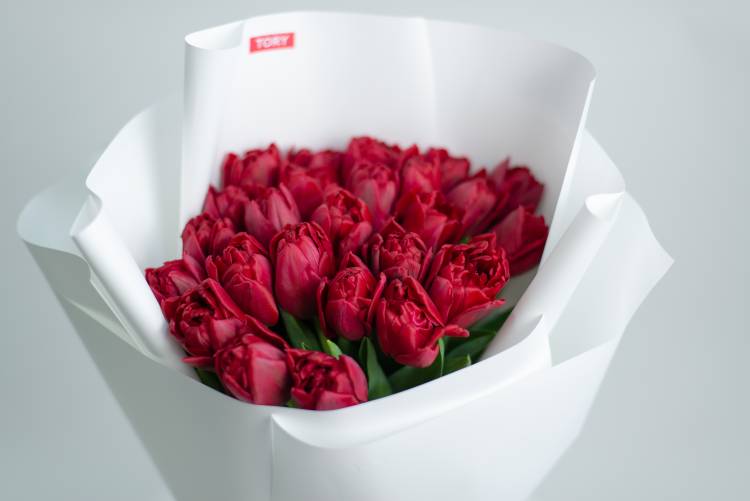 Букет 25 червоних піоновидних тюльпанів