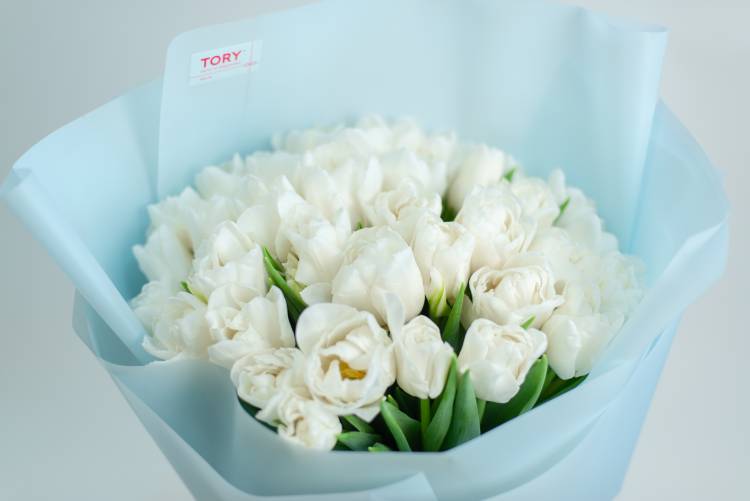 Букет 35 белых пионовидных тюльпанов