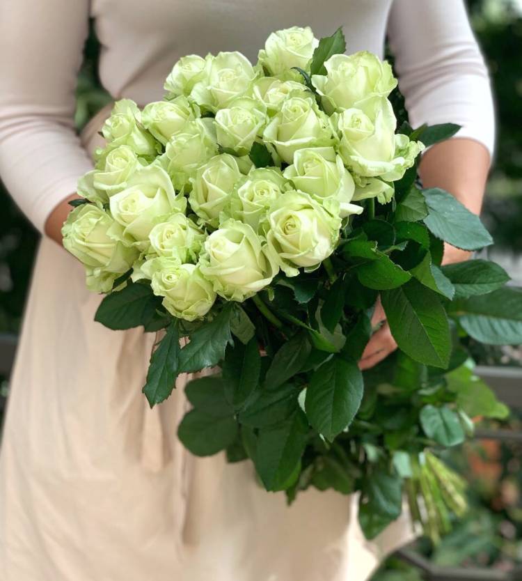 Bouquet of 21 Prenium white roses, 70 cm